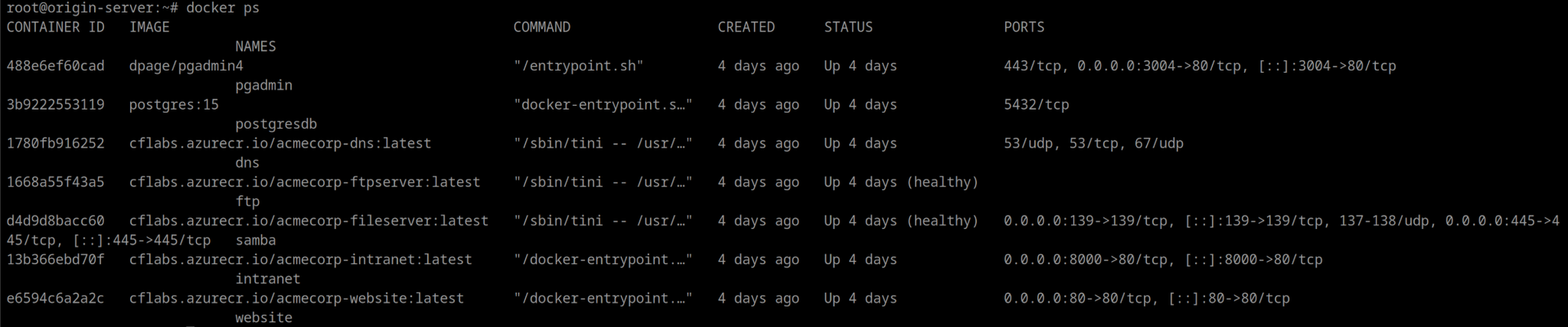 docker ps output showing running containers